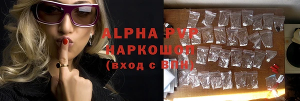 прущие грибы Балабаново