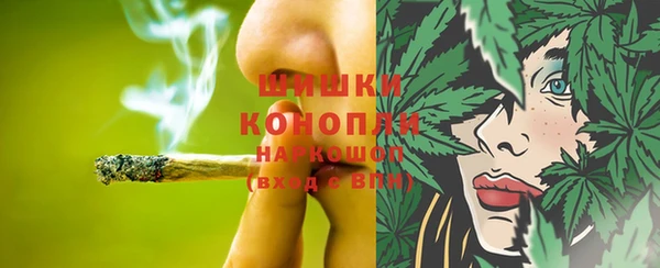 молекула духа Балахна