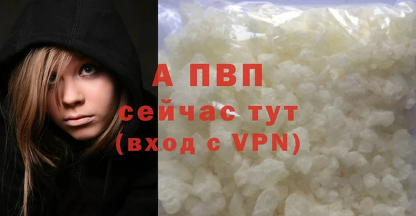молекула духа Балахна
