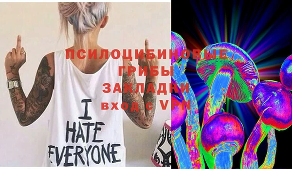 прущие грибы Балабаново