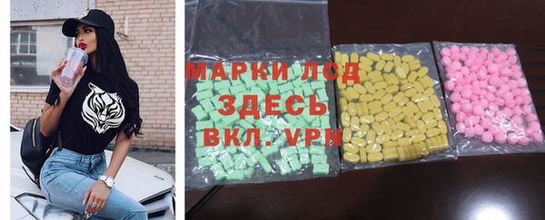 прущие грибы Балабаново