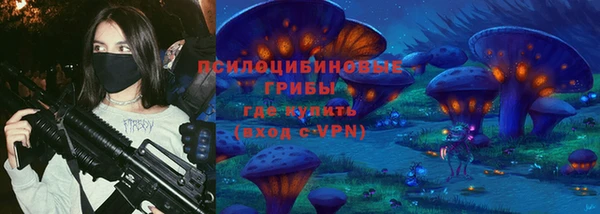 прущие грибы Балабаново