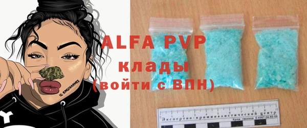 молекула духа Балахна