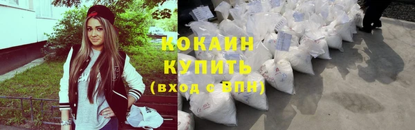 прущие грибы Балабаново