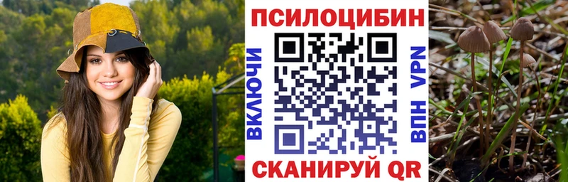 Псилоцибиновые грибы прущие грибы  Петровск-Забайкальский 